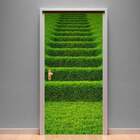 Adesivo Para Porta Paisagem 84 Escada Gramada-63x210cm