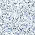 Adesivo Piso Granilito Terrazzo Azul E Branco Antiderrapante