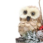 Adorno Corujas para Árvore N/A Vermelho e Preto e Branco 12x7cm Cromus