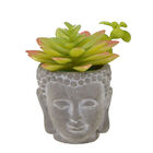 Adorno De Mesa Com Planta Artificial 12.5cm Buda Espressione