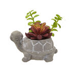 Adorno De Mesa Com Planta Artificial 12cm Tartaruga Espressio