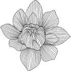 Adorno De Parede Flor Em Metal 13359 Mart