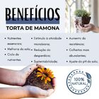 Adubo Fertilizante Ecológico De Torta De Mamona 10 Kg