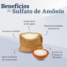 Adubo Fertilizante Sulfato De Amônio Branco  N20  S24 - 20kg
