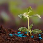 Adubo Supergarden Flores - 3kg