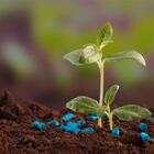 Adubo Supergarden Flores - 500g