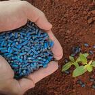 Adubo Supergarden Flores - 500g