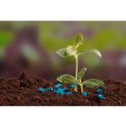 Adubo Supergarden Jardins - 3kg