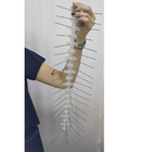 Afasta Pombo 50cm Morcego Aves Passaros Praga Doença Fezes Ni