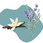 Água Perfumada Spray Aromático Baby Para Tecidos 500ml - Wp C