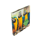 Album Autocolante Araras Amazônia