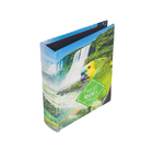 Album Papagaio Foz Do Iguaçu