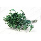 Alecrin Pink Desidratado Buque Flores Secas