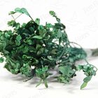 Alecrin Pink Desidratado Buque Flores Secas