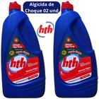 Algicida Choque Solução Água Verde Hth 01 Lt Kit 02 Und