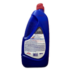 Algicida Choque Solução Água Verde Hth 01 Lt Kit 02 Und