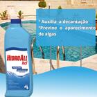 Algicida Manutenção Para Piscina Hcl 1 Lt - Hidroall