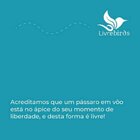 Alimentador Automático Livre Birds Crystal Com Alça Mt514