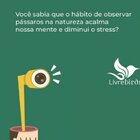 Alimentador Automático Livre Birds Crystal Com Alça Mt514