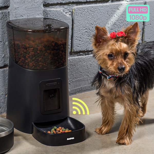 Alimentador Inteligente Automático Câmera Hd Cães E Gatos