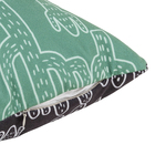 Almofada 45x45 Sertão Cacto Pt/vd