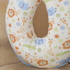 Almofada Amamentação Animais