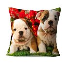 Almofada Avulsa Baby Bulldog 35x35cm