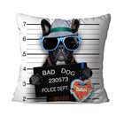 Almofada Avulsa Bad Dog
