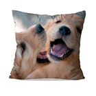 Almofada Avulsa Brothers Playing