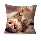 Almofada Avulsa Cat Cute