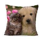 Almofada Avulsa Friends