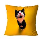 Almofada Avulsa Gato Amarelo