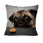 Almofada Avulsa Pug Sad