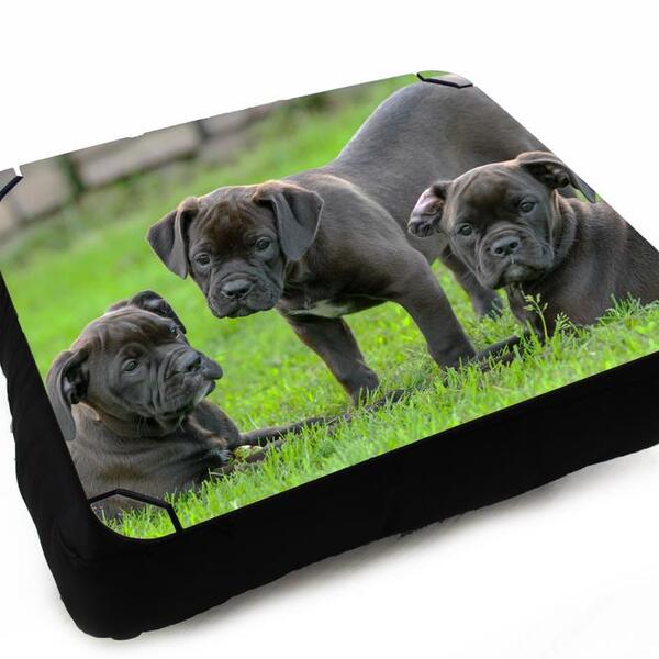 Almofada Bandeja Para Notebook Laptop Use Sala Quarto Persona