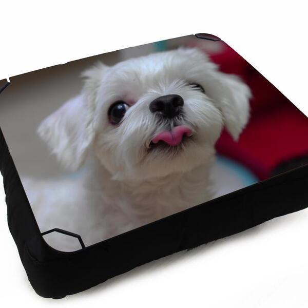 Almofada Bandeja Para Notebook Laptop Use Sala Quarto Persona