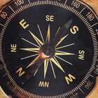 Almofada Bussola Marrom 42x42cm Uniart