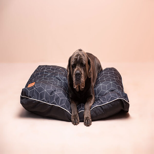 Almofada Caminha Cama Pet Porte Grande Preta G - 1 Mt X 1 Mt