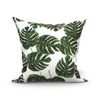 Almofada Costela De Adão Verde 60cm X 60cm 6 Unidades Com Ref