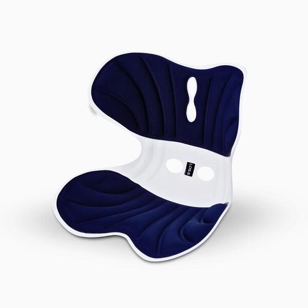 Almofada De Apoio Lombar Cadeira Correção Coluna Gg - Azul