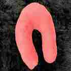 Almofada De Pescoço - Feminino - Salmão