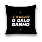 Almofada Decorativa 25x25 Personalizado Cheias É O Galo