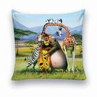 Almofada Decorativa 25x25 Personalizado Cheias Madagascar