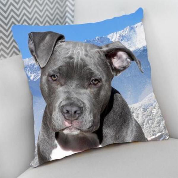 Almofada Decorativa Cheia C/ Zíper 25x25cm  Pit Bul