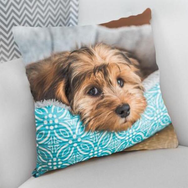 Almofada Decorativa Cheia C/ Zíper 25x25cm  Shih Tzu