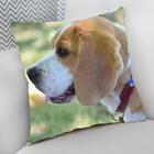 Almofada Decorativa Cheia C/ Zíper 40x40cm  Beagle
