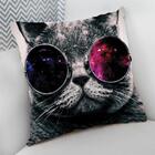 Almofada Decorativa Cheia C/ Zíper 40x40cm  Gato Com Óculos