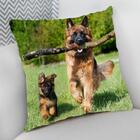 Almofada Decorativa Cheia C/ Zíper 40x40cm  Pastor Alemão