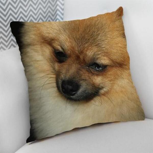 Almofada Decorativa Cheia C/ Zíper 40x40cm  Spitz Alemão