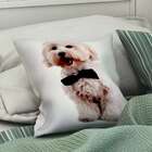 Almofada Digital Maltes 42x42 Colorido Alm-an-29 Uniart