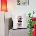 Almofada Digital Maltes 42x42 Colorido Alm-an-29 Uniart